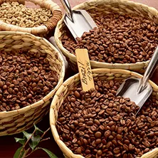 Mexico 'Spirit of the Aztec' Coffee