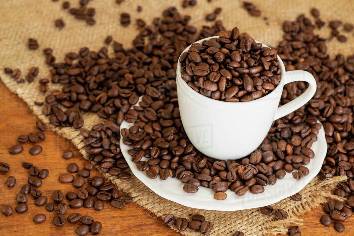 Jamaica Blue Mountain Blend Coffee